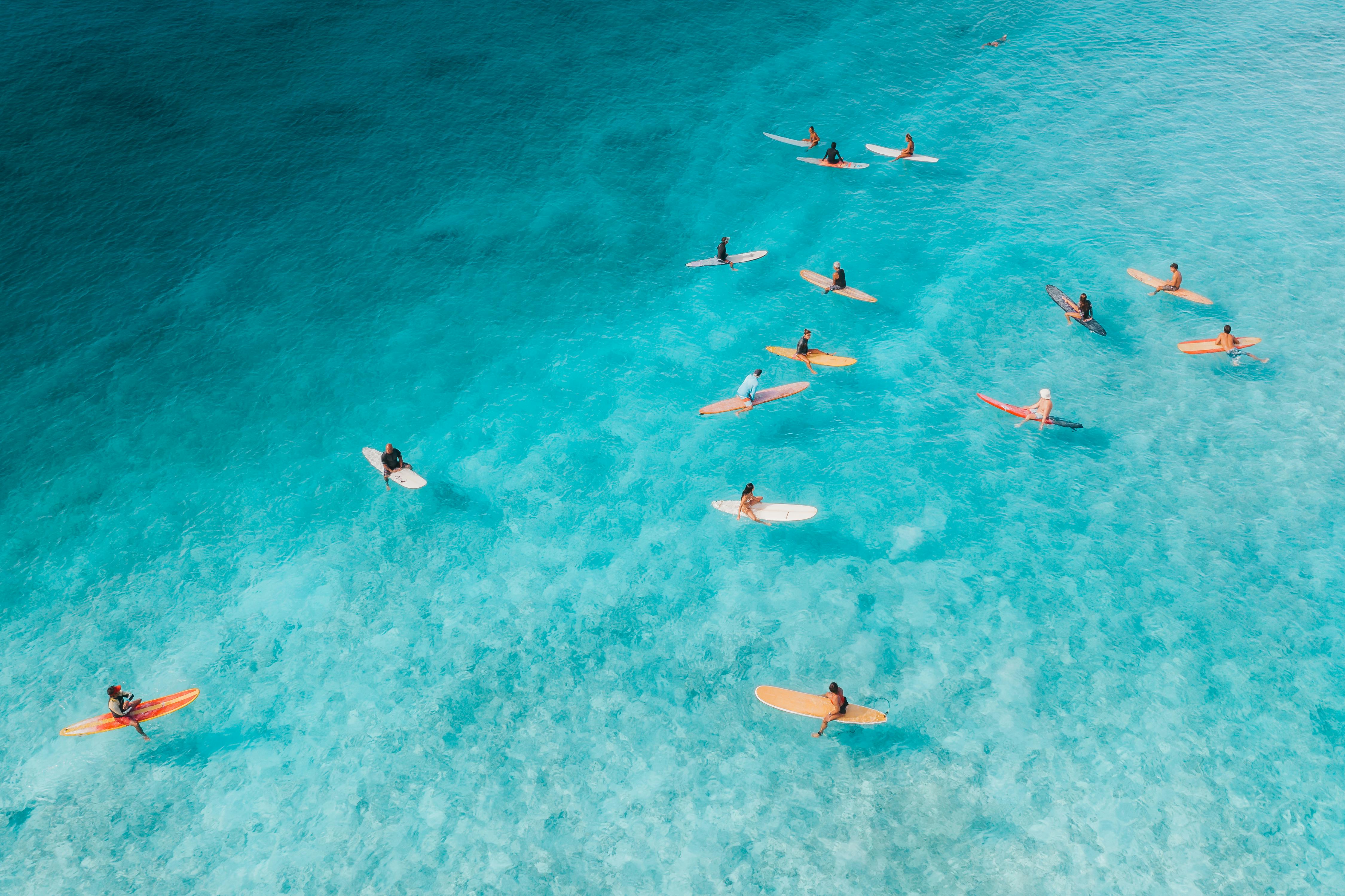 image of people surfing in clear blue water