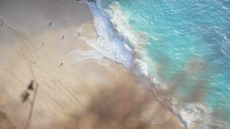 Video of a beach from overhead with waves crashing on the shore